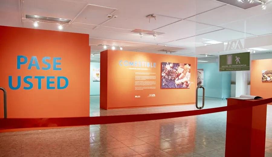 Einzelausstellung, Mexiko